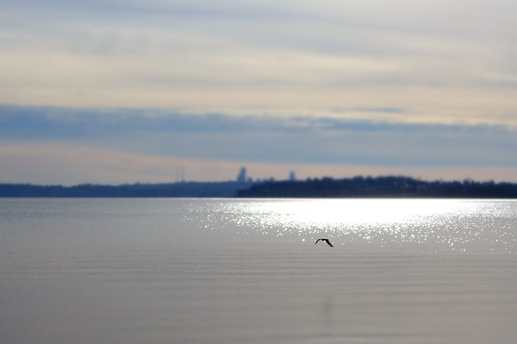 Solitary Flight
