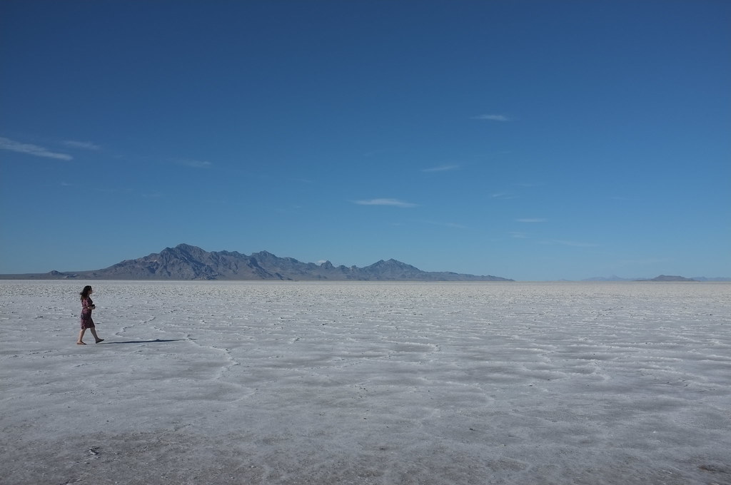 Vast Horizons